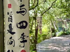 -天目湖山水园