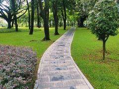-荔香公园