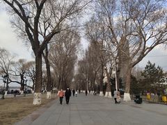 -人民防洪胜利纪念塔