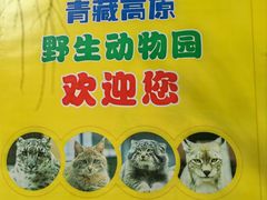 -青藏高原野生动物园