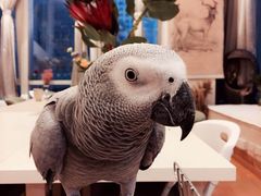 -森野花艺培训·企业团建活动沙龙