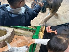 -杭州野生动物世界