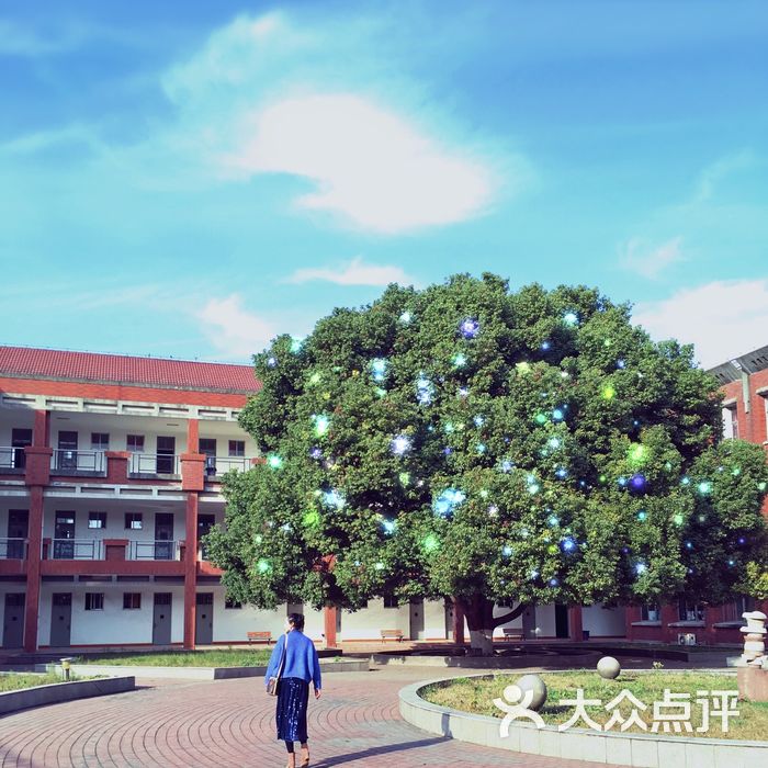三江学院南校区图片
