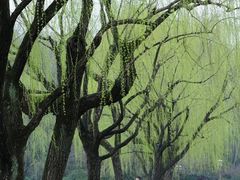 -西湖游船