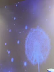 -洛伊科技抗衰护肤中心
