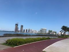 -万绿园