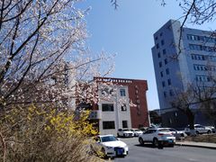 -吉林大学(南岭校区)