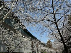 -鸡鸣寺