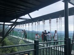 -梦幻奥陶纪景区