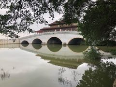 -大湾区中央湿地公园