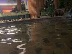 -碧水湾温泉