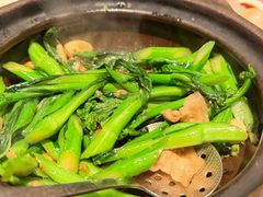 啫啫菜心苗-囍凤楼·粤菜·点心·火锅(温特莱店)
