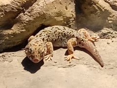 -新疆天山野生动物园