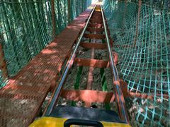 -藏龙百瀑风景区