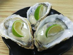 -爱蚝屋