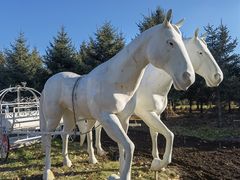 -长春公园(普阳街道)