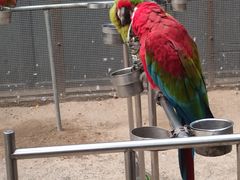 -南宫五洲植物乐园