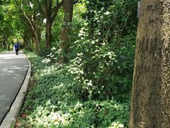 -云溪植物园