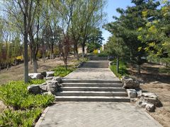 -大兴滨河森林公园