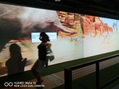 -VS SPORTS PARK运动玩乐园·团建·生日会(合生汇店)