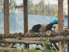 -鄂尔多斯野生动物园