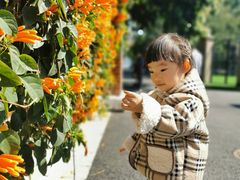 -鼓浪屿内厝澳码头(轮渡站)