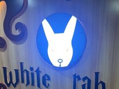-白兔子密室(长寿路店)