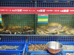 -必点海鲜·鲅鱼水饺(鞍山西道店)