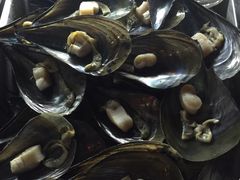 -眼镜哥浦江夜宵大本营