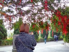 android_upload_pic-南沙天后宫景区