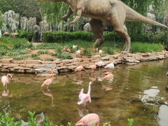 -北京野生动物园