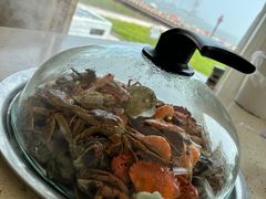 -港畔赶海蒸汽海鲜烧烤自助(仙螺岛店)