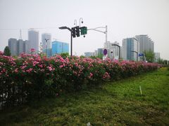 -南京眼步行桥