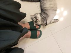 -家有小宠宠物美容(双楠街店)