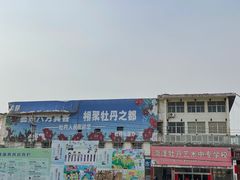 -曹州牡丹园