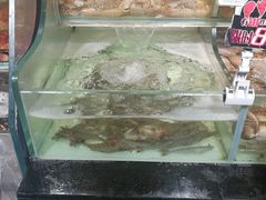-超级物种(省府店)