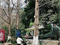 -成都市活水公园