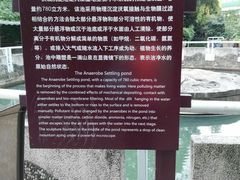 -成都市活水公园