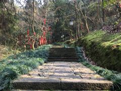 -梦姑塘文化公园