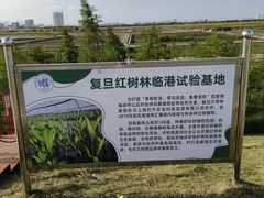 -南汇嘴观海公园