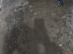 -王家沙点心店(万航渡路店)