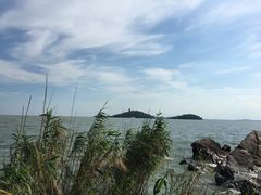 -上海市保健医疗中心(华东疗养院)