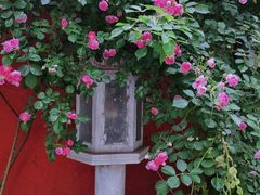 -北京石刻艺术博物馆(五塔寺)