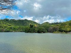 -深圳仙湖植物园