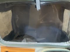-半岛宠物医院24小时·内窥镜·牙科·碎石中心(府城大道店)