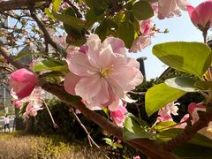 -元大都城垣遗址公园