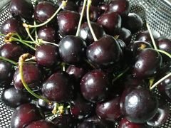 -菜园坝水果市场