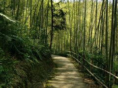 景点-千泷沟大瀑布旅游区