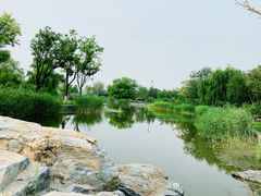 -西海子公园