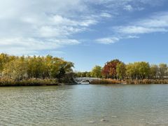 -大兴滨河森林公园